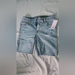 Wild Fable High Rise distressed Shorts
